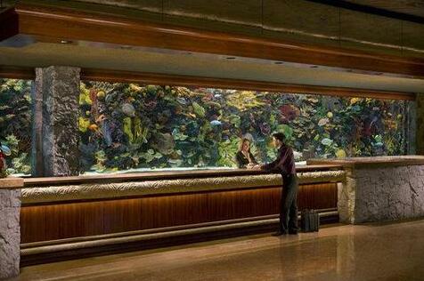The Mirage&nbsp;- Photo3